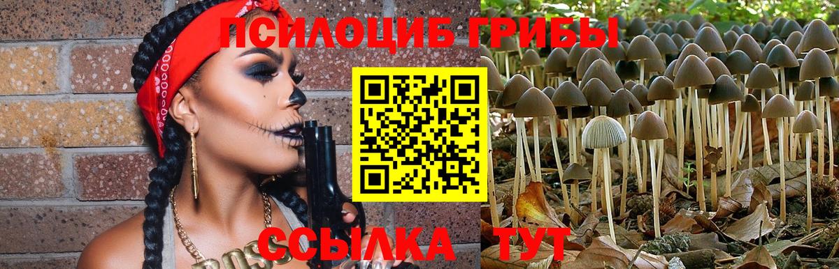 Псилоцибиновые грибы Psilocybine cubensis  Вход с VPN  Галлюциногенные грибы Cubensis  Полысаево 