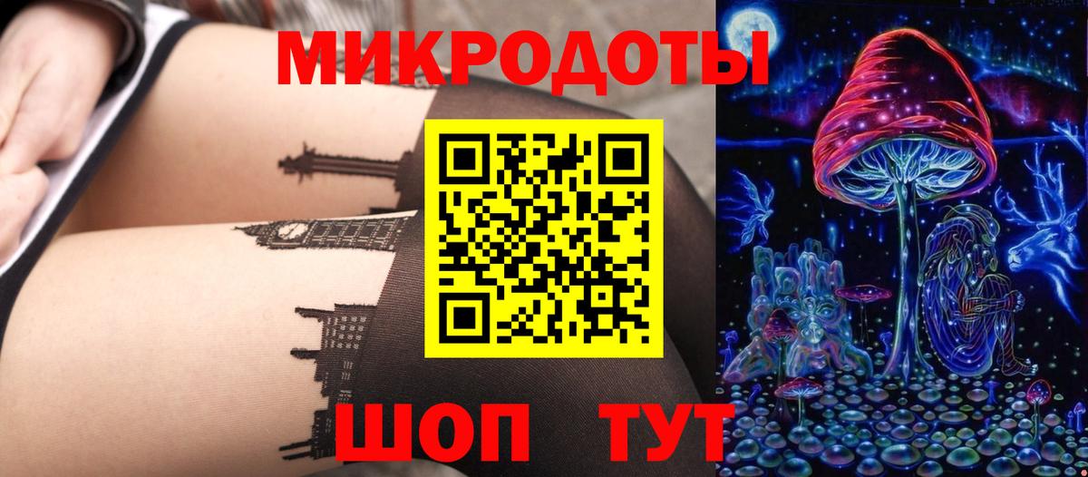 Галлюциногенные грибы Psilocybine cubensis Полысаево